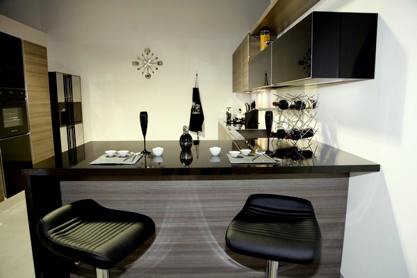 Aria showroom Opening